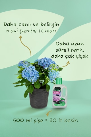 Ortanca Sıvı Bitki Besini Sıvı Gübre 500 Cc 1 kg