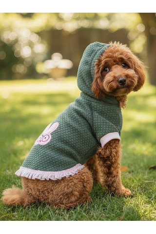 Bunnypop Kapüşonlu Köpek Elbisesi Yeşil Pembe