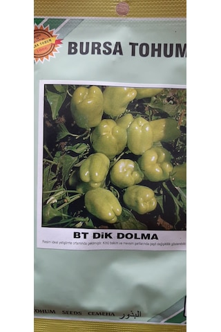 Kolukısa Tarım Dik Dolma Biber Tohumu