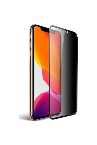 Pp Apple Uyumlu iPhone 16 Pro Max Gizli Hayalet Cam Ekran Koruyucu 19160982