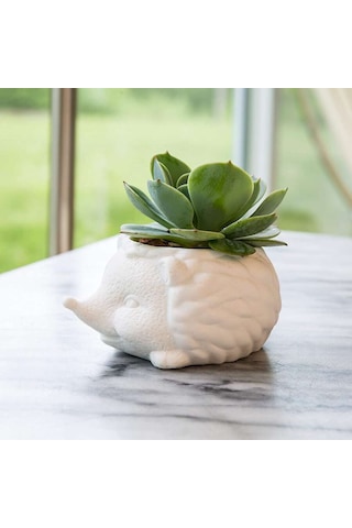 Kikkerland Prıckles The Hedgehog Planter Seramik Kirpi Saksı