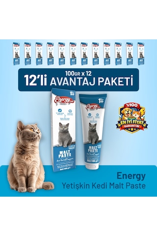 Yetişkin Kedi Malt Paste 100 G - 12 Adet