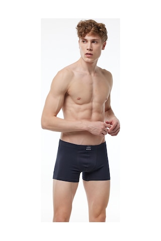 Malabadi Erkek Füme 5 Li Pamuk Elastan Boxer 5m074 Füme