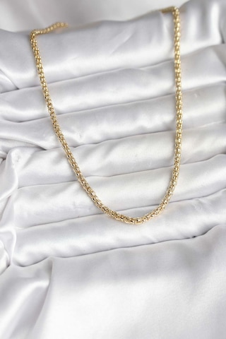 14k Gold Renk Kaplama Boru Zincir Model Cm Kadın Kolye Metalik