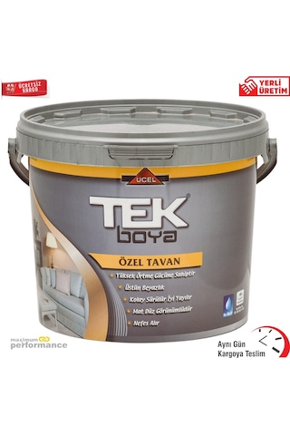 Tek Boya Tavan Boyası Plastik Beyaz 20 KG