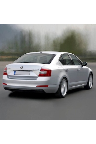 Skoda Octavia 3 2013-17 Arka Plaka Aydınlatma Lambası 5n0943021b