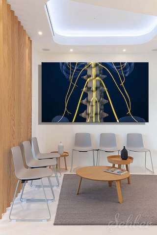İnsan Anatomisi Bel Omurları Ve Sinir Yollarını Gösteren 3d Tıbbi İllüstrasyon Yatay Kanvas Tablo 3584