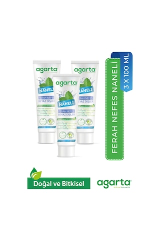 3 Adet Doğal Yoğun Naneli Florürsüz Ferah Nefes Diş Macunu 100 Ml