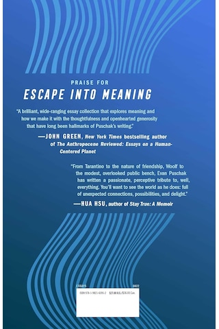 Escape Into Meaning: Essays On Superman, Public Benches, And Other Obsessions