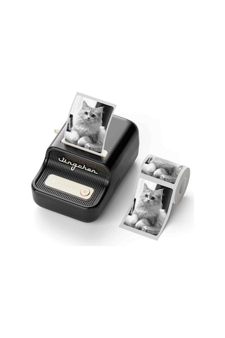 Niimbot B21s Bluetooth Taşınabilir Termal Etiket Yazıcı-siyah