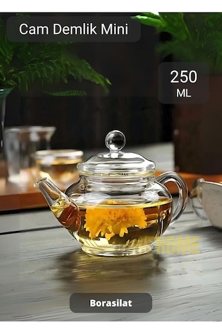 Isıya Dayanıklı Borosilikat Cam Demlik 250 Ml - Süzgeçli Bitki Çayı Ve Yeşil Çay Demliği Çok Renkli