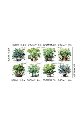 Periboia Tropikal Bitkiler Duvar Stickerı Model A