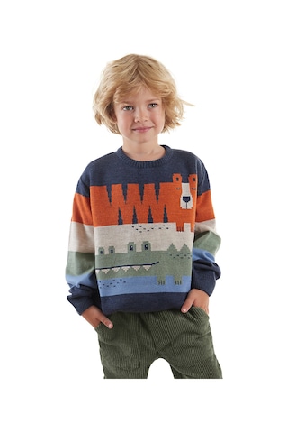 Denokids Hayvanlar Erkek Çocuk Kazak