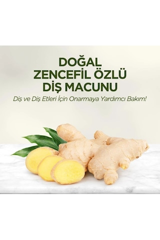 Doğal Diş Macunu 90 Gr Zencefil Özlü Çok Renkli