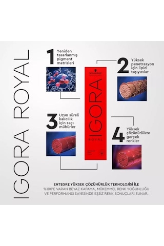 Schwarzkopf Igora Royal Saç Boyası 60 Ml 8-77 Açık Kumral Yoğun Bakır