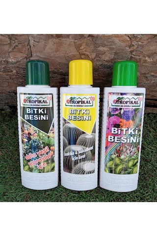 Tropikal Bitki Besini 3'lü Set