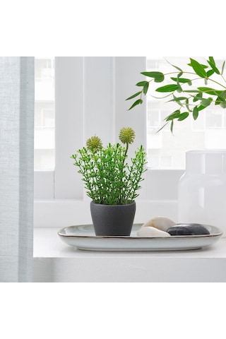 Toprak Saksı, Koyu Gri, 6 Cm 3 Adet