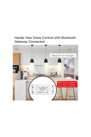 Dancemonkey Tuya Akıllı Ev Modülü: Tek Nokta Kontrol, Zamanlayıcı, Mobil Uygulama, Google Home, Alexa Destekli