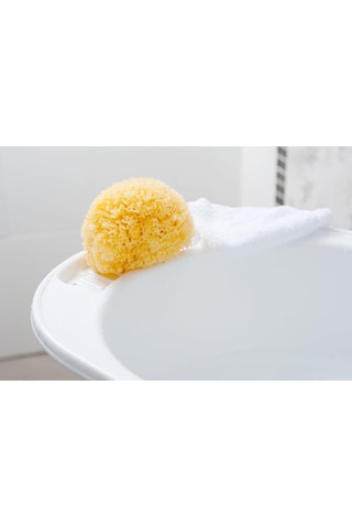Lexroo %100 Doğal Akdeniz Süngeri - Bebek Banyo Süngeri 8 - Kutulu