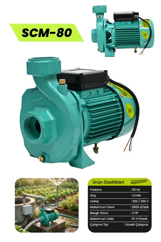 Reschmann R-scm-80 Profesyonel Santrifüj Su Pompası 1.5 Kw / 2 Hp