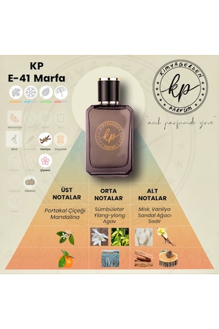 KP E-41 Erkek Parfüm EDP 50 ML