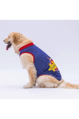 Pawstar Lacivert Summer Time Büyük Köpek Tişörtü Köpek Kıyafeti