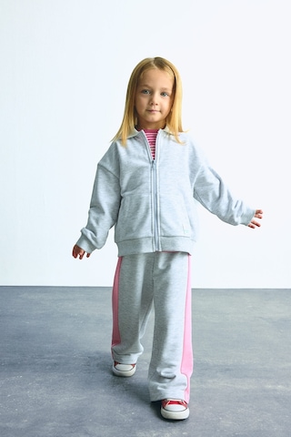 Defacto Gömlek Yaka Fermuarlı Basic Sweatshirt Hırka Kız Çocuk I0629a526augr421 Gri-gr421