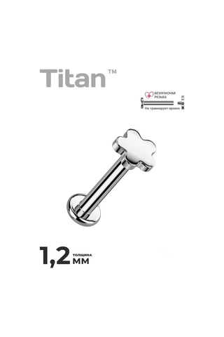 Spikes Helix Tragus İçin Çiçek Şeklinde Titanyum Labrete 413677967 Diğer