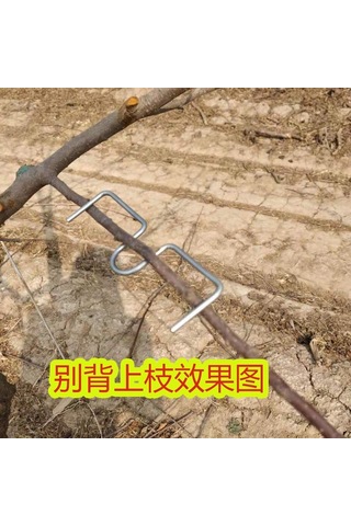 Youmex M Tipi Meyve Ağacı Dal Bükücü 13 Cm - 20 Adet/kilo, Dal Açısı Ayarlayıcı, Büyümeyi Teşvik Eden Bahçe Aleti