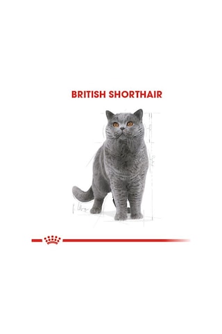 Royal Canin British Shorthair Pouch Yetişkin Kedi Konservesi 85 Gr