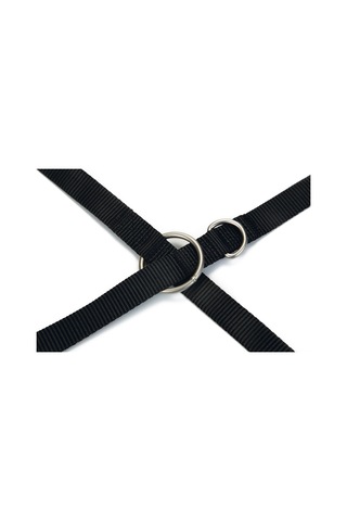 Beeztees Köpek Gezdirme Kayışı, Siyah, 200cm, 20mm Çok Renkli