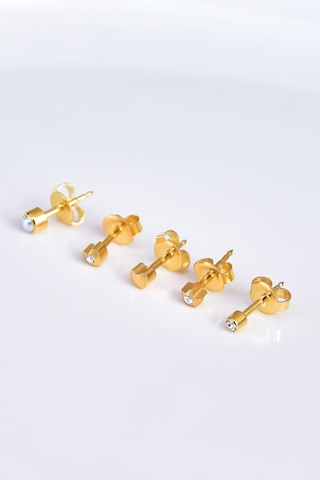 Çelik Gold Kaplama Cerrahi Tektaş Çivili 5'li Kombin Küpe Model6 Altın