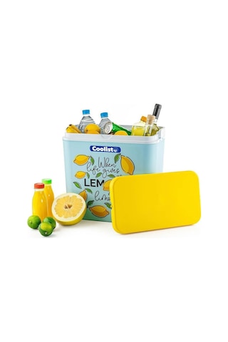 Clb30lm Limon Desenli Buzluk, 30 Litre + 3 Adet Buz Kaseti 400gr Çok Renkli
