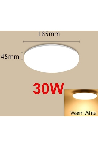 Modern Led Tavan Işıkları 50w 30w 20w 15w Tavan Lambaları 220v 230v 30w Warm White