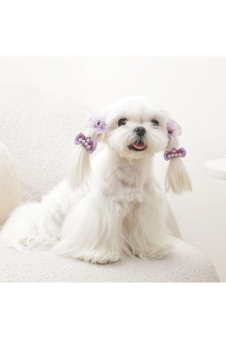 M-pets Glam Fiyonklu Kedi Ve Köpekler İçin Aksesuar Toka Mor Mor