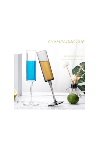 Sones 165ml Ev Tipi Akrilik Şampanya Bardakları