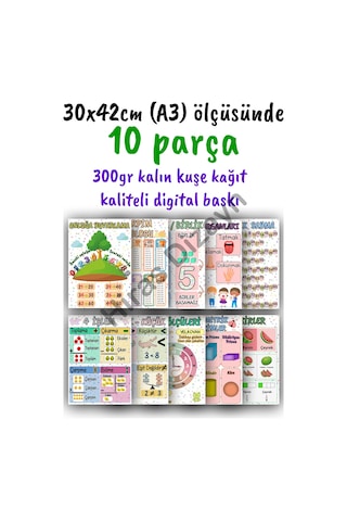 2. Sınıf Ders Sınıf Afişleri 10 Parça 30x42cm A3- Yeni Müfredat İlkokul Okul Öncesi Eğitici Sınıf Panosu Süsleme Set Kalın Kuşe Kağıt