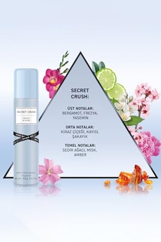 Tr Deo 200 Ml Secret Lady