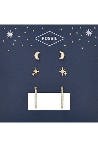 Fossil Jgftset1050 Kadın Küpe Seti