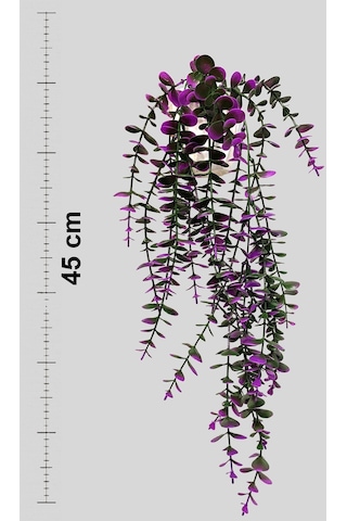 Özel Tasarım Iki Renkli Elmas Beyaz Saksılı Mor - Yeşil Okaliptus Sarkıtı