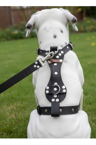 Köpek Göğüs Tasması Ayarlanabilir Orta Irk Deri Mat Siyah
