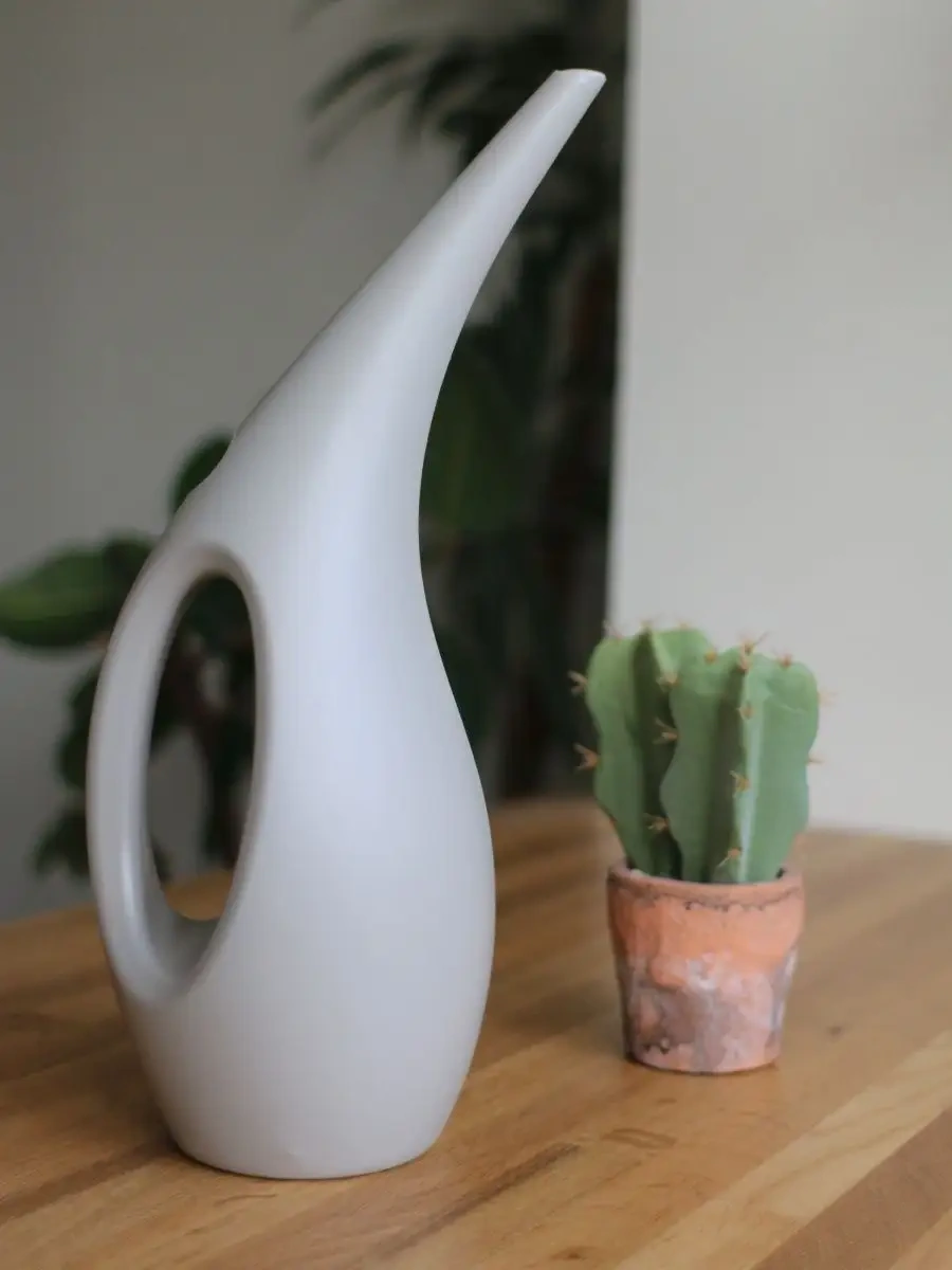 Zeytin Home İç Mekan Çiçekleri İçin Sulama Kasesi 75979411