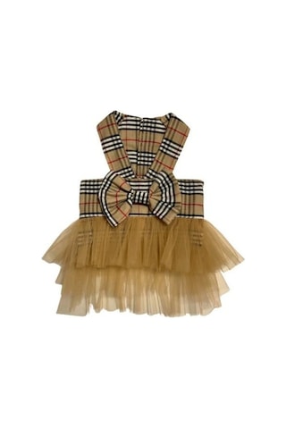 Gedyco Bej Ekose Tütülü Küçük Irk Köpek Elbisesi