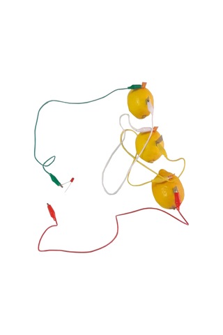 Ece Limondan Pil Yapma Deney Seti Sebze Meyveden Pil Yapma