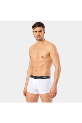 Cacharel Erkek 3'lü Boxer 1320/beyaz-siyah-gri KARIŞIK RENK