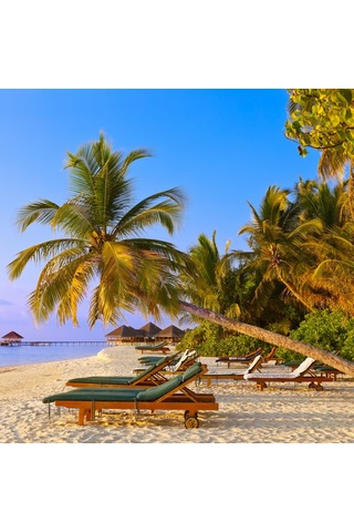 Motoryagmarket Casablanca Kademeli Ahşap Şezlong Tekerlekli -Deniz Güneş Keyfi-