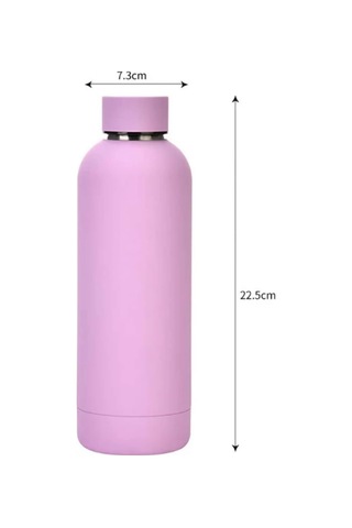 Yalıtımlı Paslanmaz Çelik Spor Su Şişesi Mor Mor