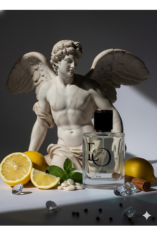 Polodeur Pd 102 Erkek Parfüm EDP 50 ML
