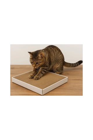 Karton Kedi Tırmalama Dayanıklı Ve Uzun Ömürlü 30 38 5 Cm 25 Katmandan Oluşur 1 Adet