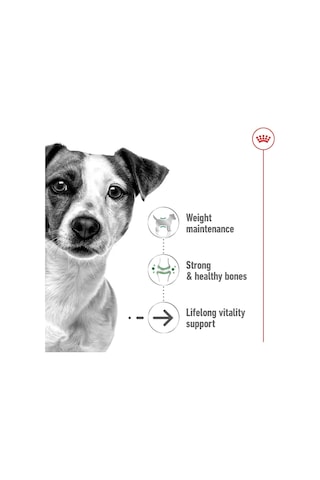 Mini Ageing Küçük Irk Yaşlı Köpek Konservesi +12 Yaş 85 Gr X 12 Adet